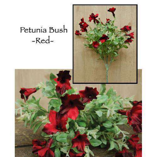 '+Petunia Bush, Red